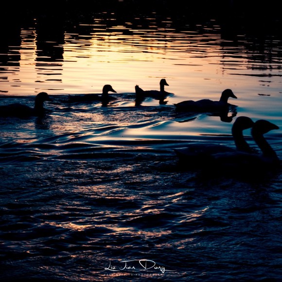 Meet your Posher, Ian - Picture 1 of 1